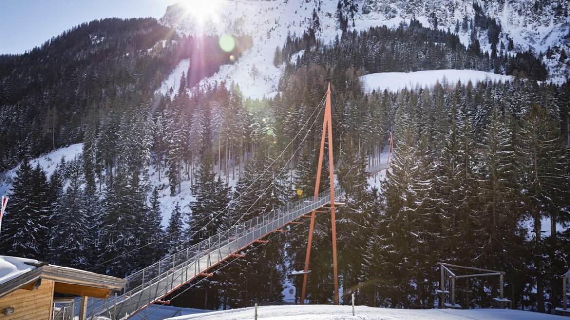 Stezka v korunách stromů a "Golden Gate"