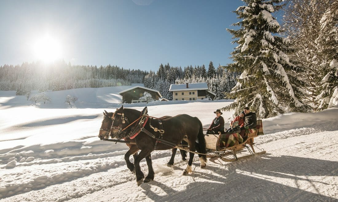 Romantický zážitkem je vyjížďka na saních tažených koňmi zimní krajinou za svitu slunce