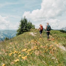 Salzburger Almenweg je dálková turistická trasa přes salcburskou oblast Pongau. Tato turistická stezka o délce 350 km vede ve 25 více či méně dlouhých denních etapách na více než 120 alpských pastvin.