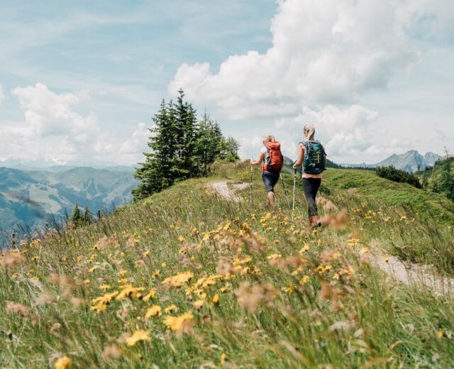 Salzburger Almenweg je dálková turistická trasa přes salcburskou oblast Pongau. Tato turistická stezka o délce 350 km vede ve 25 více či méně dlouhých denních etapách na více než 120 alpských pastvin.