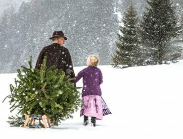 Dědeček s děvčetem v tradičním kroji veze na sáňkách jedličku zatímco padá sníh