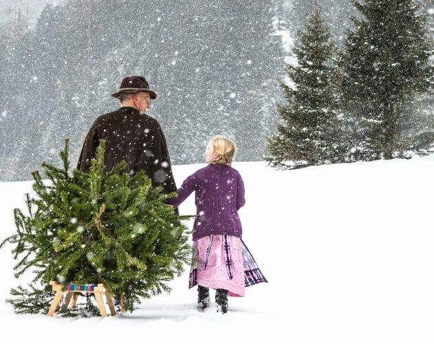 Dědeček s děvčetem v tradičním kroji veze na sáňkách jedličku zatímco padá sníh