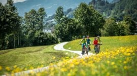 Taurská cyklostezka je jednou z nejoblíbenějších v Rakousku. Vede nádhernou a rozmanitou krajinou