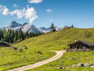 Dvě dřevěné chaty na travnaté stráni v Salcburském Saalachtalu s horami a borovicemi pod modrou oblohou.
