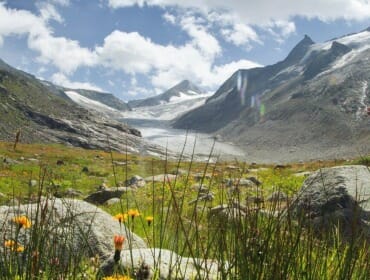 Rozkvetlá louka v údolí Untersulzbachtal ve středisku Wildkogel-Arena