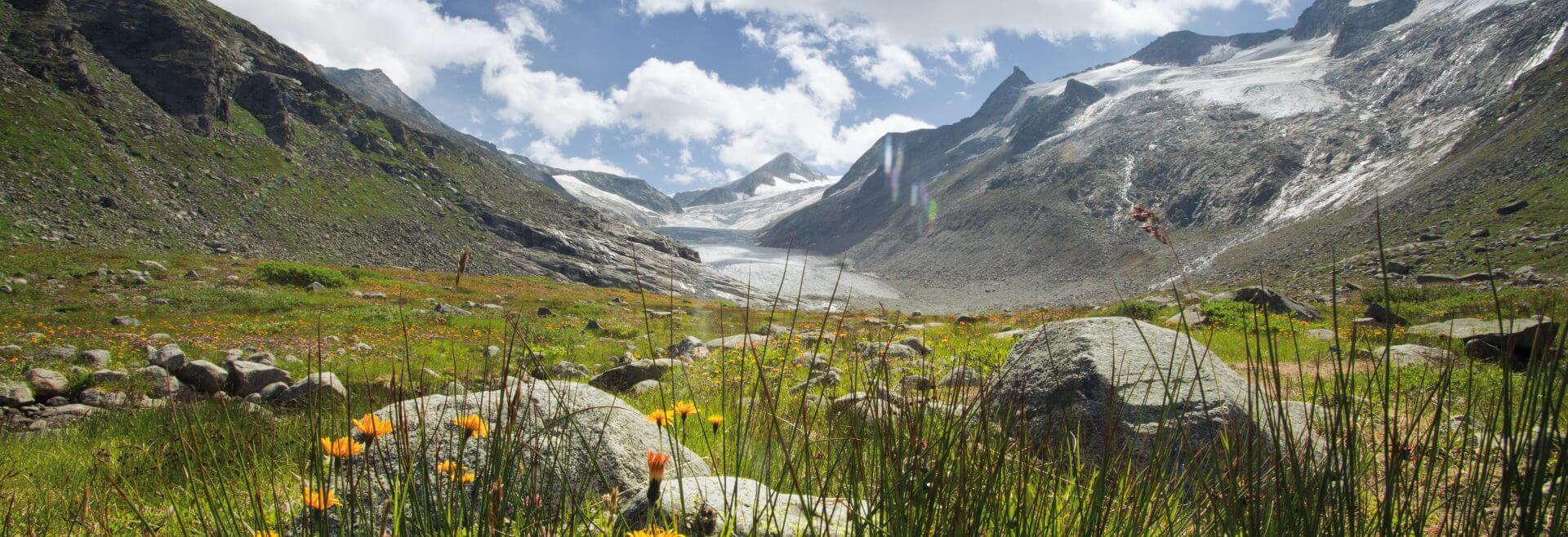 Rozkvetlá louka v údolí Untersulzbachtal ve středisku Wildkogel-Arena