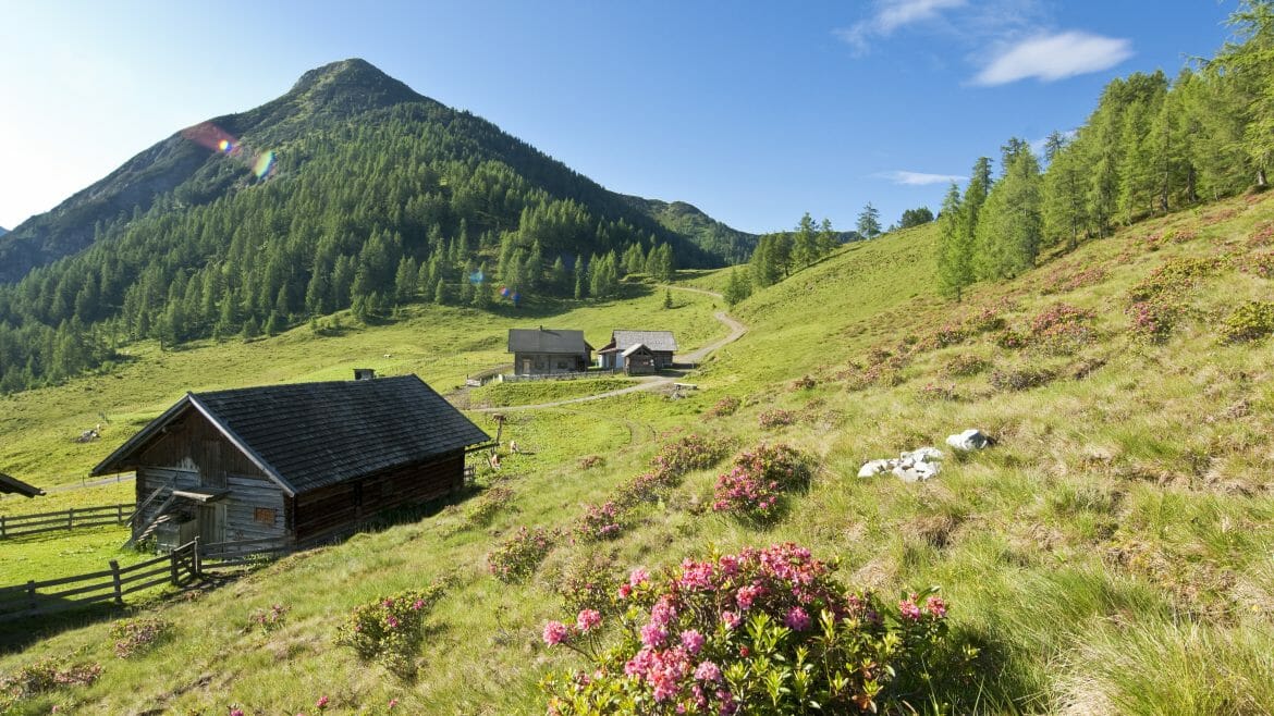 Salaše na zelených pastvinách uprostřed vysokých hor lákají v létě turisty k zastavení a ochutnávání místních dobrot