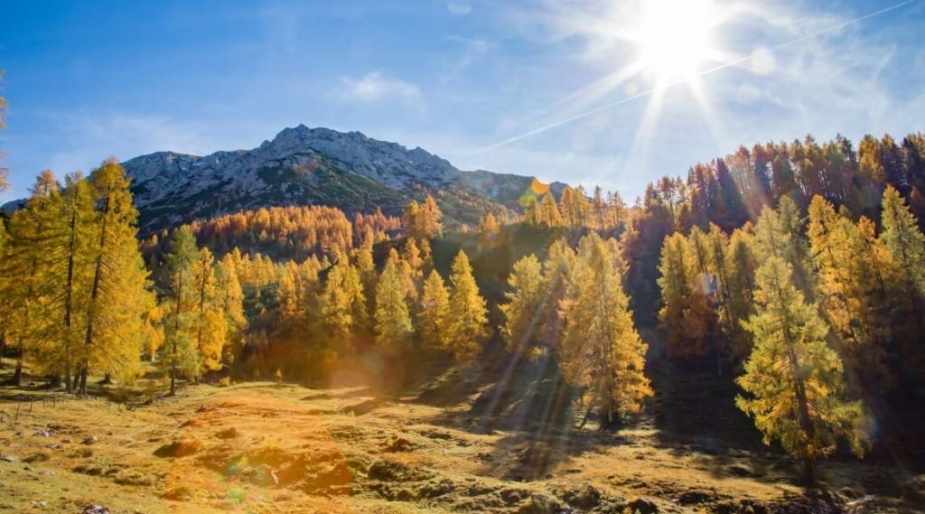 Příroda na podzim ve Filzmoos se zbarvuje a sluneční paprsky lákají k výletům na kole nebo pěšky