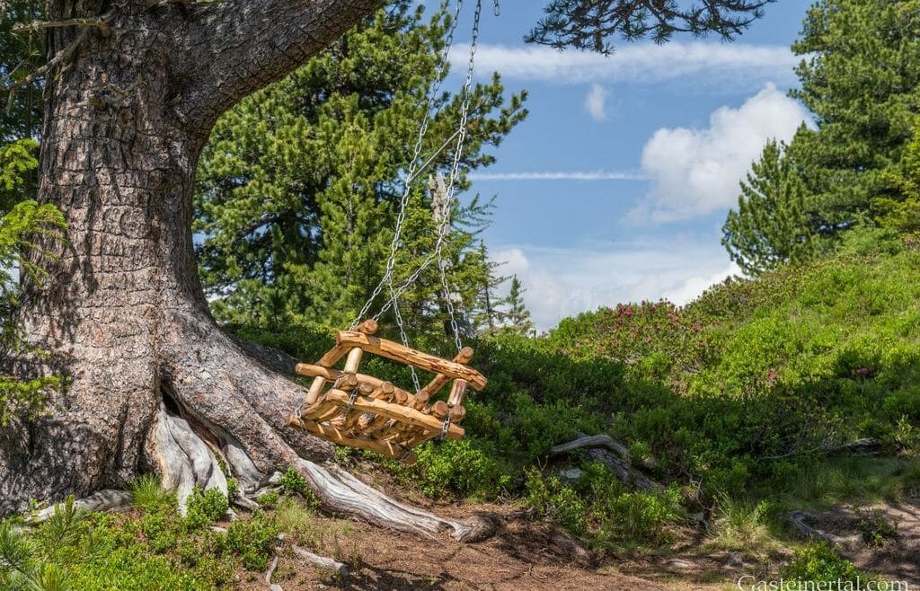Stezka po stopách staletých borovic na hoře Graukogel nabízí spoustu míst k odpočinku na dřevěných houpačkách, lavicích nebo lehátkách