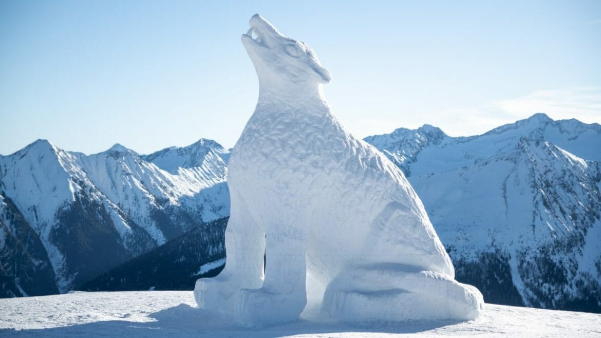 Na sjezdovkách i mimo ně v Gasteinu vznikají u příležitosti festivalu Art on snow umělecká díla s různou tematikou, jako například socha vlka, vyjícího do nebes mezi zasněženými štíty Vysokých Taur