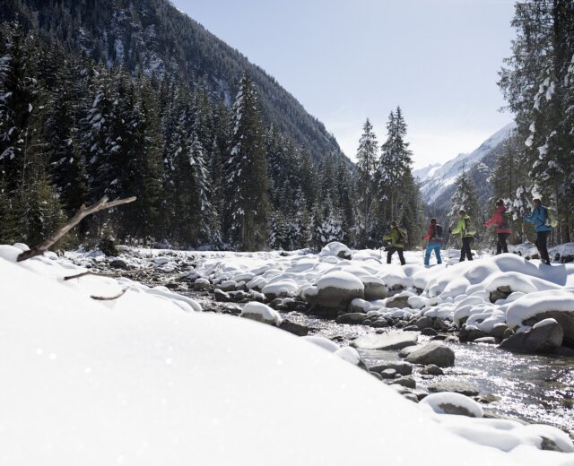 Skupina si užívá zasněženou půdu u řeky v zalesněné horské krajině arény Zima Wildkogel.