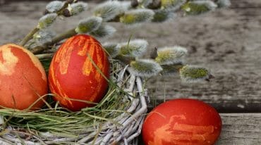 Přírodně barvená, červená velikonoční vajíčka v hnízdě z větviček a větvičkami vrby, známými jako kočičky