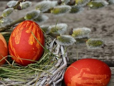 easter-eggs-g1a9707fc9_1920-1600×550 Přírodně barvená, červená velikonoční vajíčka v hnízdě z větviček a větvičkami vrby, známými jako kočičky