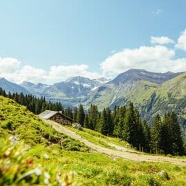 Zelená pastvina, rozkvetlá louka a cesta, která se vine v alpských kulisách v Raurisertalu