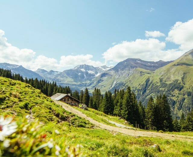 rs2746_t2_055-hpr Zelená pastvina, rozkvetlá louka a cesta, která se vine v alpských kulisách v Raurisertalu