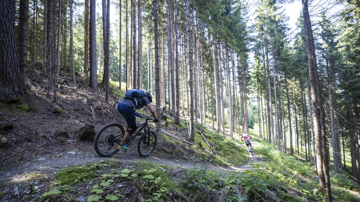 Singletrail © SalzburgerLand Tourismus, Heiko Mandl Dva lidé jedou na horských kolech po klikaté lesní cestě v Grossarltal v Salcbursku v létě. (Zvětšený pohled)