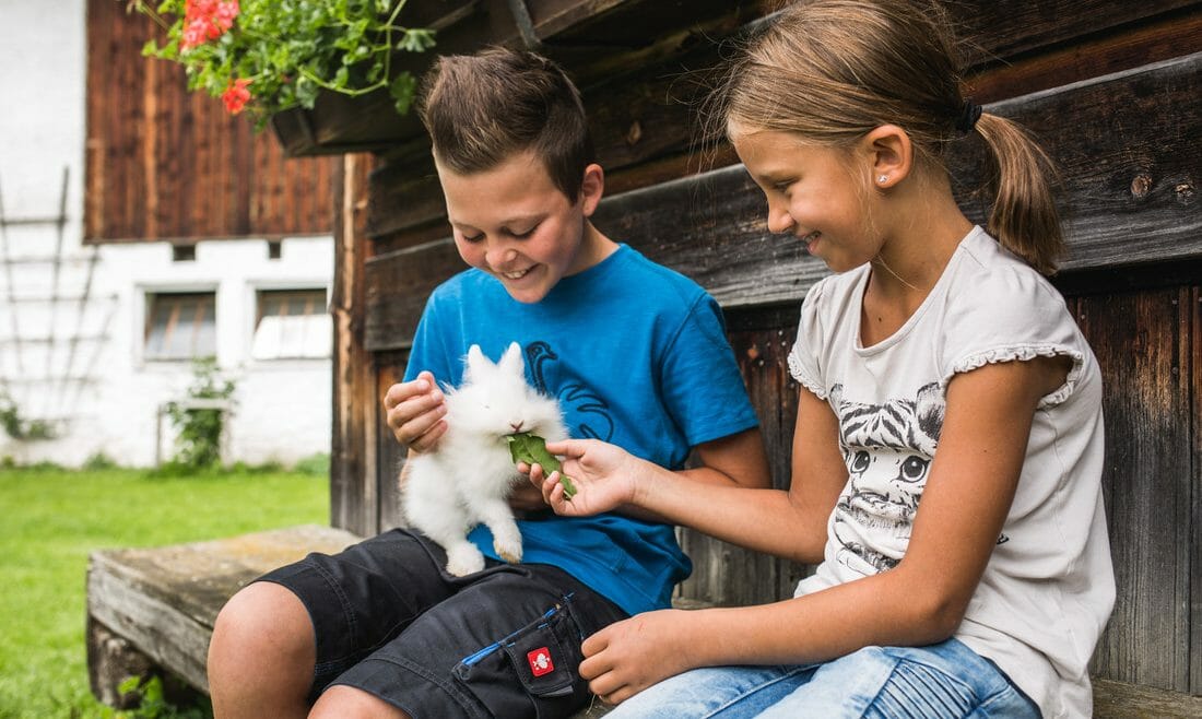 Pro děti je dovolená na farmě zážitkem © SalzburgerLand Tourismus, Michael Groessinger Děti krmí na lavičce farmy v Salcbursku bílého králíka (Zvětšený pohled)