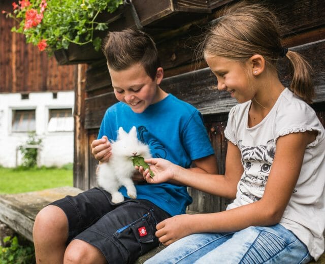 Děti krmí na lavičce farmy v Salcbursku bílého králíka