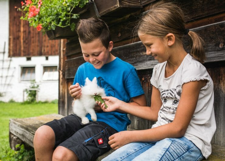 Děti krmí na lavičce farmy v Salcbursku bílého králíka