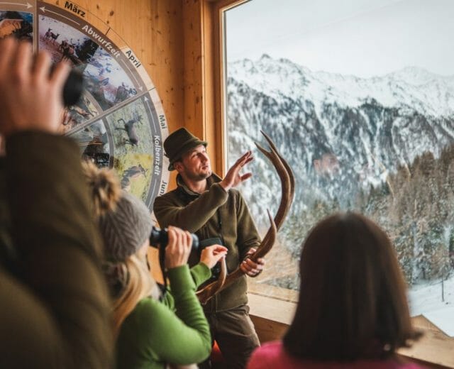 Schaufütterung im Habachtal