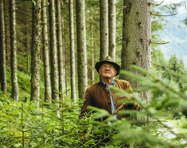 Starší muž v klobouku a kabátu stojí v lese a vzhlíží mezi vysokými borovicemi.