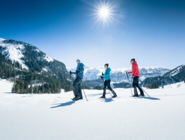 Salcburský Lungau nabízí širokou síť značených zimních turistických tras, které vedou nádhernou zasněženou krajinou