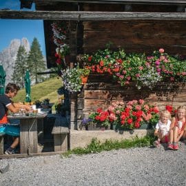 Hofalmgebiet in Filzmoos in der Salzburger Sportwelt