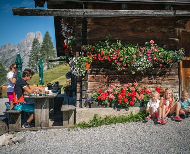 Hofalmgebiet in Filzmoos in der Salzburger Sportwelt Hofalmgebiet in Filzmoos in der Salzburger Sportwelt