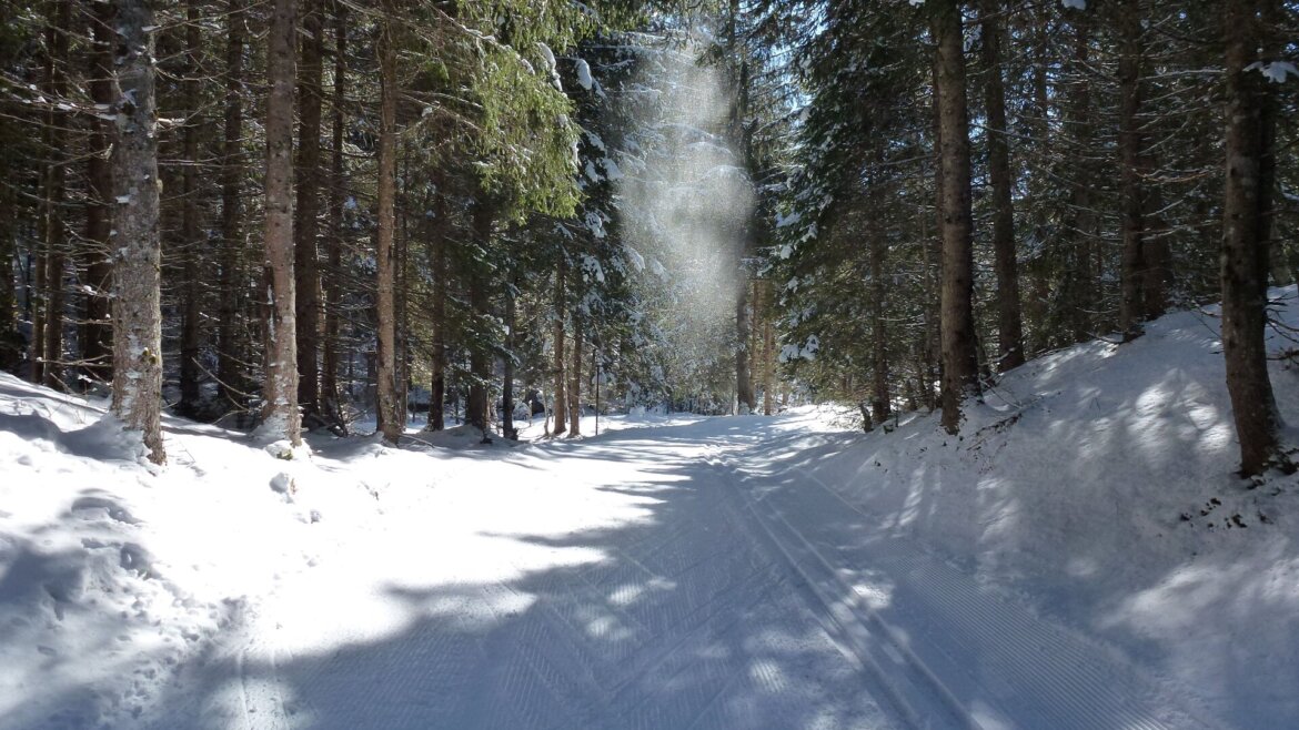 Trať Buchebenloipe v Raurisertalu vede i lesem