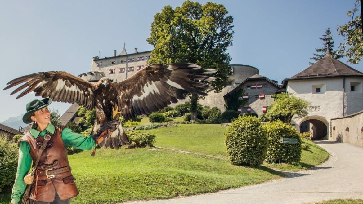 V areálu středověkého hradu Hohenwerfen se konají každý den přehlídky letů dravých ptáků, sokolnictví tady má dlouhou tradici