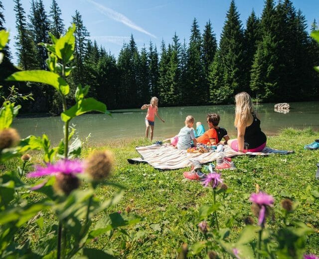 Rodinná dovolená v Salcburském sportovním světě Rodinný piknik na rozkvetlé louce u malebného horského jezera ve Filzmoos