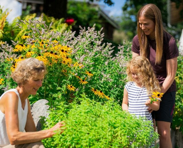 Kraeuterwandern_Region Hochkoenig (C)Hochkoenig Tourismus Region Hochkönig je zaměřený na bylinkovou turistiku a prohlídky bylinkových zahrad.