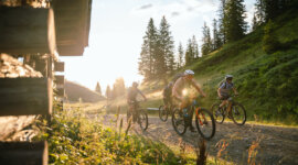Čtyři jezdci na MTB projíždějí prosluněným travnatým lesem u dřevěné chaty na stezce Hochkönig horská kola.
