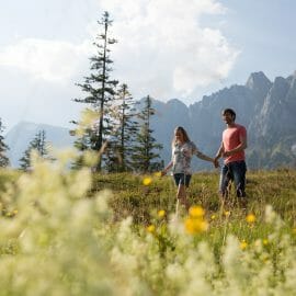 Letní procházka po rozkvetlé louce s kulisou hor v regionu Hochkönig, který se dá procestovat i pohodlně z místa na místo bez zavazadel.