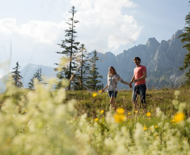 Wandern beim Hochkönig Letní procházka po rozkvetlé louce s kulisou hor v regionu Hochkönig, který se dá procestovat i pohodlně z místa na místo bez zavazadel.
