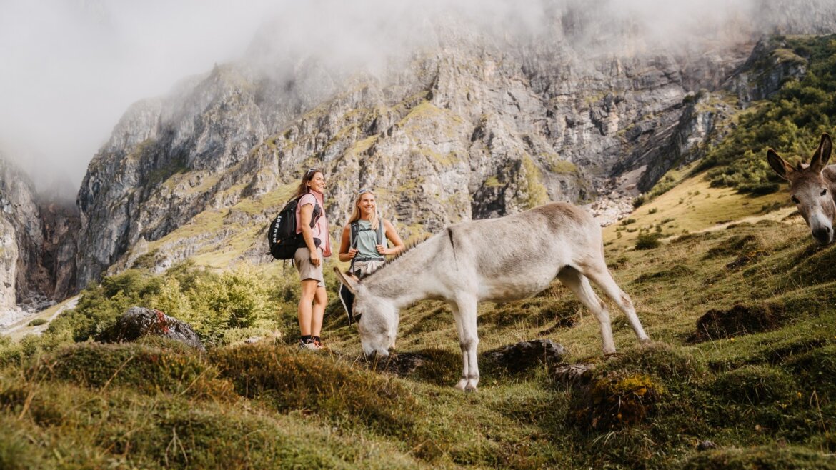 Dvě ženy putují po dálkové turistické trase a zastavují se u pasoucího se osla s mlžnými útesy za zády.