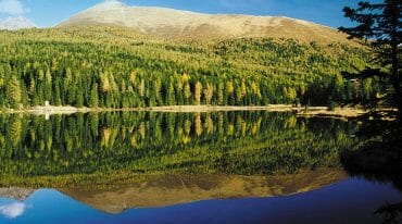 Slatinné jezero má klidnou hladinu, ve které se odráží stromy a místní hora Preber v Tamsweg