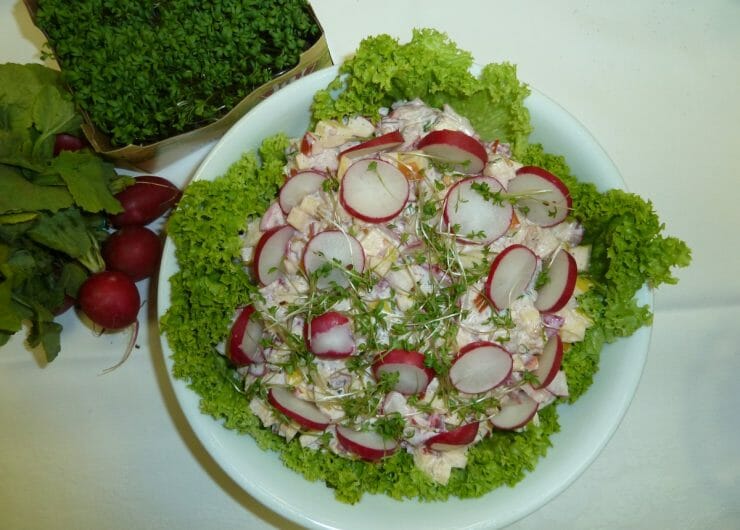 Salát z ředkviček, jablka a řeřichy, s dresingem ze zakysané smetany. Servírovaný na salátových listech