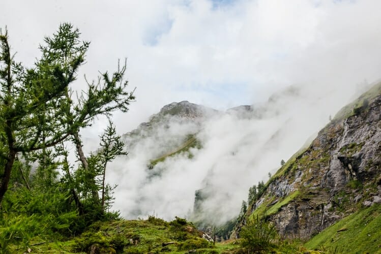 Krumltal je divoké údolí v Národním parku Vysoké Taury. Tato jedinečná přírodní oblast je bohatá na vzácnou faunu i floru