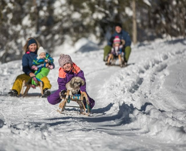 Rodina s dětmi jede z kopce na saních zasněženou krajinou a dívka na saních veze i menšího psa