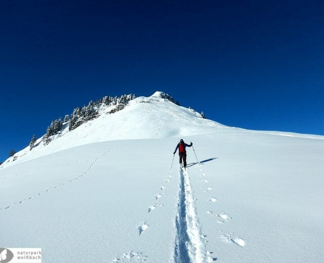 Trasa na Kuhkranz s převýšením 818 metrů je přes 13 kilometrů dlouhá a jako časová náročnost potřebná pro zdolání se uvádí pět a půl hodiny