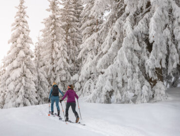 Skitouring v Russbachu