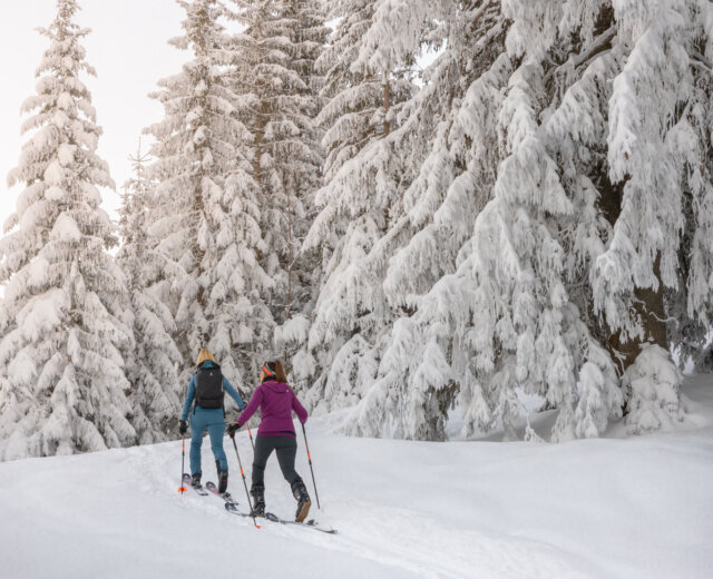 Atomic Backland Skitourenstrecke – Russbach (c) Dachstein Tourismus AG Skitouring v Russbachu
