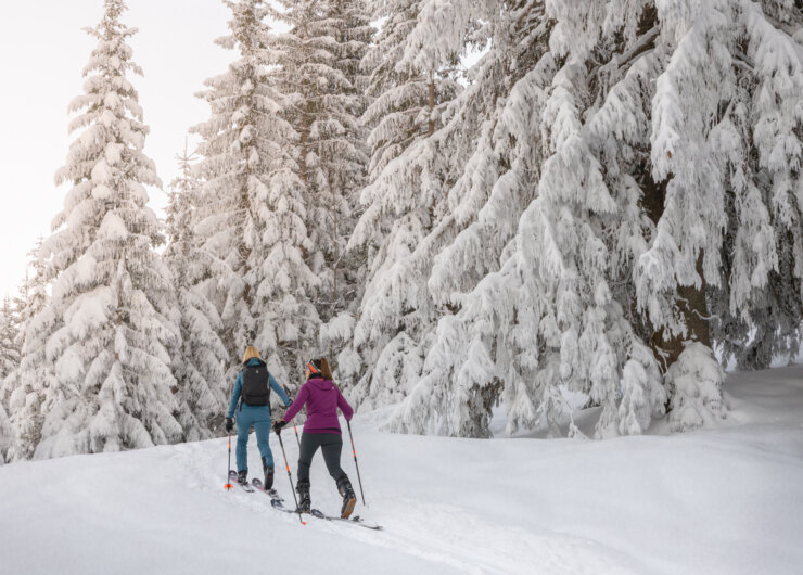Atomic Backland Skitourenstrecke – Russbach (c) Dachstein Tourismus AG Skitouring v Russbachu