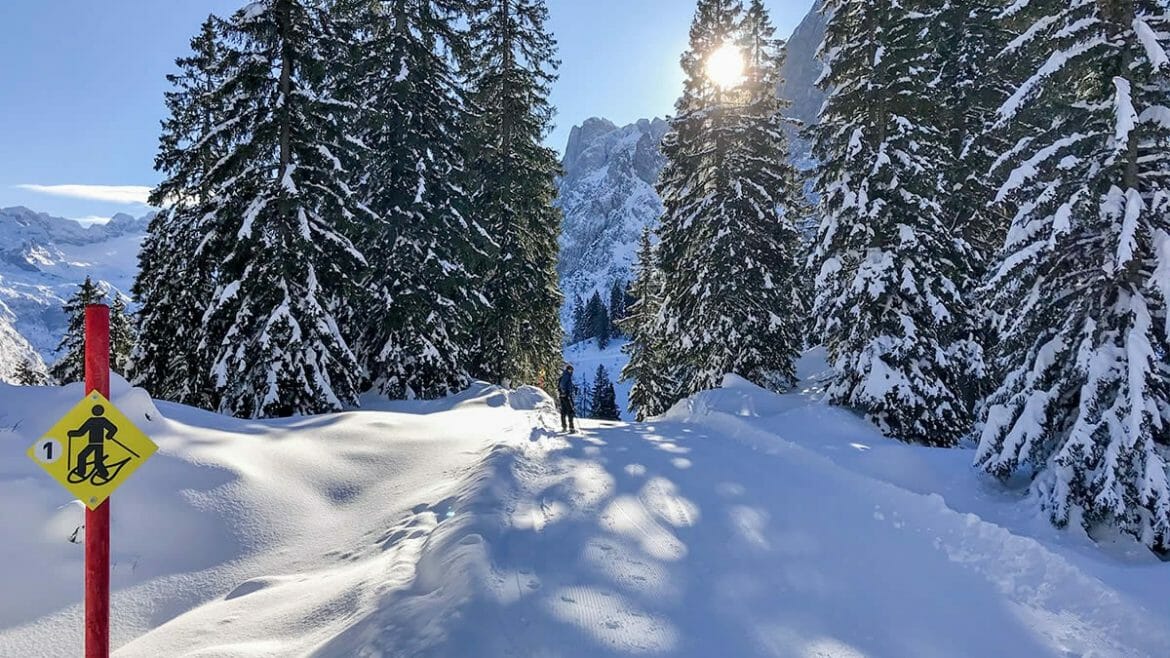 Zimní radovánky mimo sjezdovky najdou všichni milovníci zimních sportů a pěší turisté při výletech na sněžnicích v Dachstein West na Zwieselalm