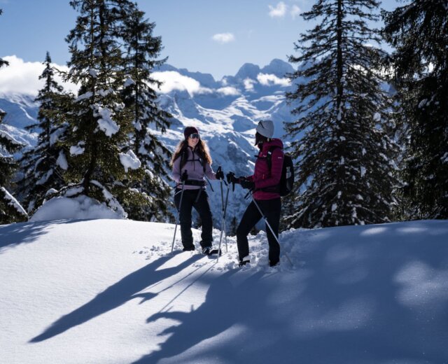Dva lidé stojí v hlubokém sněhu na výpravě na sněžnicích v Dachstein West, za nimi zasněžené stromy a vrcholy.