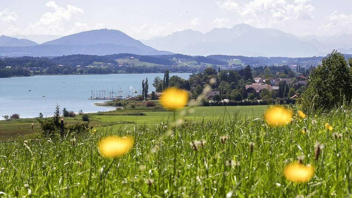 Krajina s rozkvetlou loukou, jezerem a horami v Seehamu, bio ráji v Salcburské zemi jezer