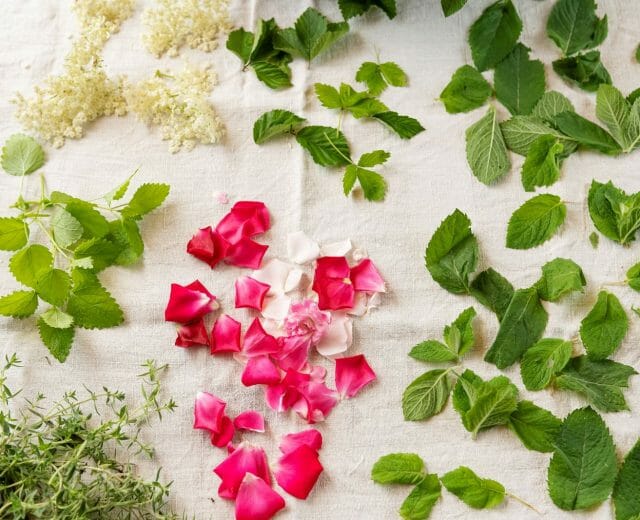 Na plátně jsou rozloženy okvětní lístky růže, květy bezu, listy máty a dalších bylin, které se využívají například k výrobě čaje z bylinkové zahrady v Hollersbachu v Národním parku Vysoké Taury