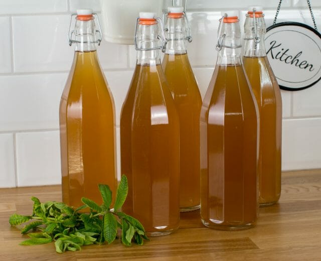 Krautersirup-mit-Zitronenverbene-selbst-gemacht Sirup z čerstvých bylinek s citronovou trávou vydrží ve sklenicích díky cukru, který je konzervantem, několik měsíců