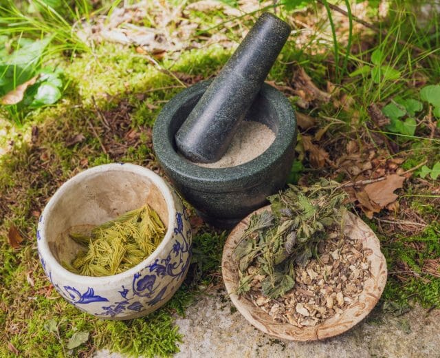 Tradiční evropské léčitelství je založený na zkušenostech a poznatcích z přírody. V Salcbursky se tyto vědomosti předávají z generace na generaci